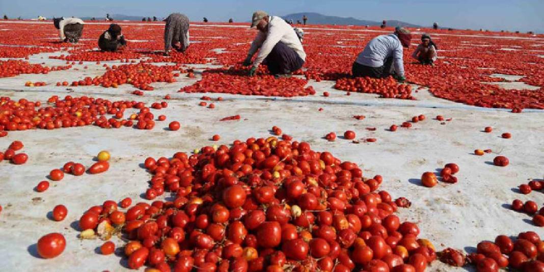 Kırmızının en güzel hali! Ser, kurut, şöleni izle: Bölgenin en önemli geçim kaynaklarından 2
